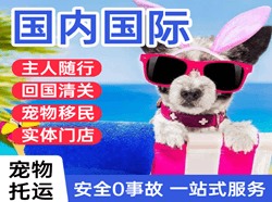 岳阳三荷机场快递国际宠物托运 【国